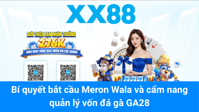 Bí quyết bắt cầu Meron Wala và cẩm nang quản lý vốn đá gà GA28