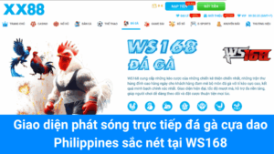 Giao diện phát sóng trực tiếp đá gà cựa dao Philippines sắc nét tại WS168